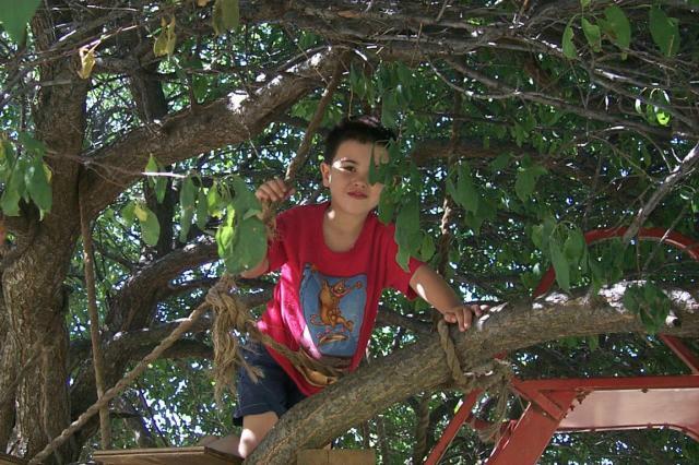 Click to display next picture